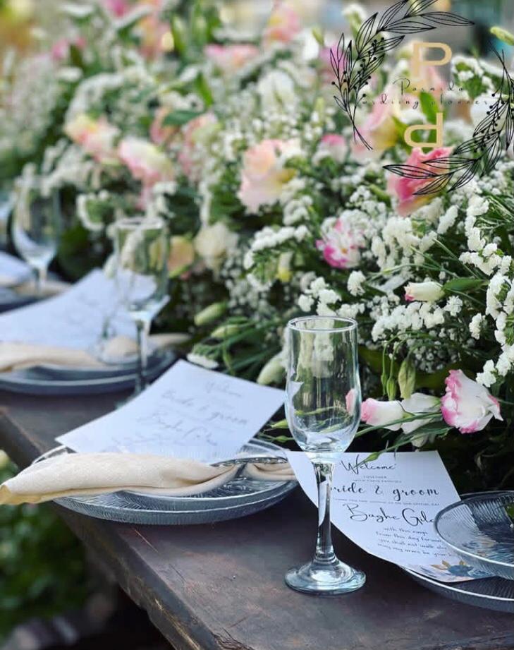 عکاسی و فیلمبرداری حرفه‌ای